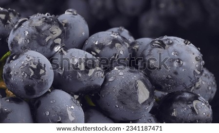 Bunch of ripe juicy grapes with drops of water, Clode up