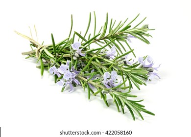 795,840 Rosemary Images, Stock Photos & Vectors | Shutterstock