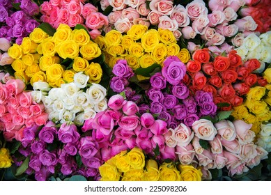 Bunch Of Roses