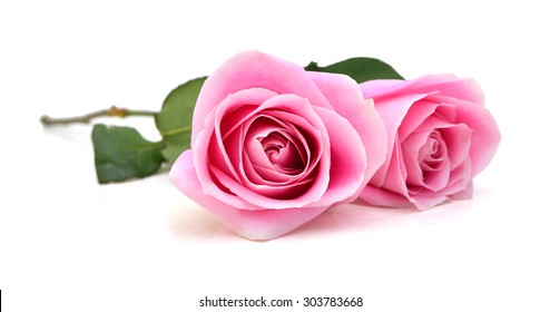 Bunch rosy roses isolated