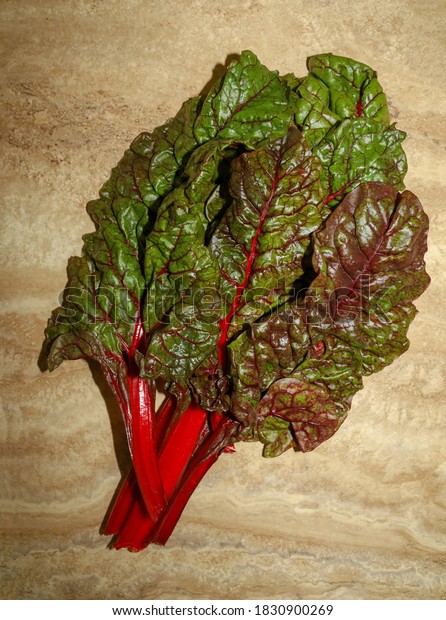 A\
bunch of ruby red chard leaves on the kitchen\
counter.