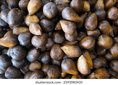 A bunch of Salak or Salacca zalacca fruits in a fruit container at a fruit stall. Salak is a fruit native to Indonesia that has a scale-like skin and a sweet flavor in its flesh.