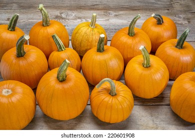 a bunch of small pumpkins on a rustic wood planks - Halloween or autumn holidays background