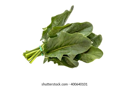 Bunch Spinach Isolated On White Stock Photo 400640101 | Shutterstock