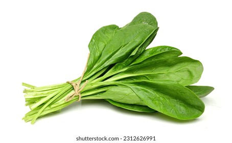Bunch of spinach leaves on isolated white background