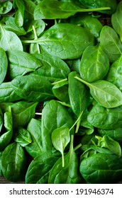 A Bunch Spinach Leaves. Toning