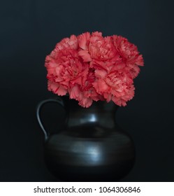 A Bunch Of Spray Carnations On A Black Back Ground. Please Note The Image Is Underexposed, This Is For Dramatic And Artistic Effect. 