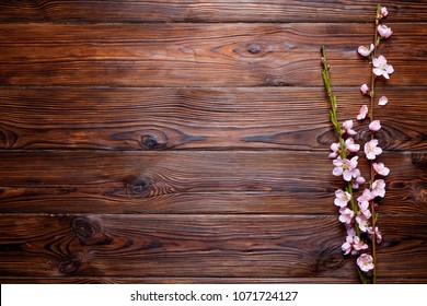 Bunch of spring flowering branches with a lot of pink blossoms on dark brown wooden background. Rustic composition with spring flowers on vintage textured wood table. Close up, copy space, top view.