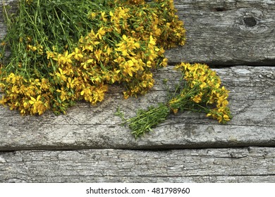 Bunch of St. John's wort herb  on wooden background  