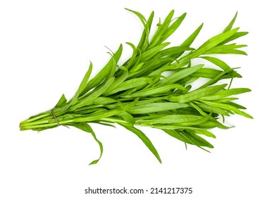 Bunch of tarragon isolated on a white background.