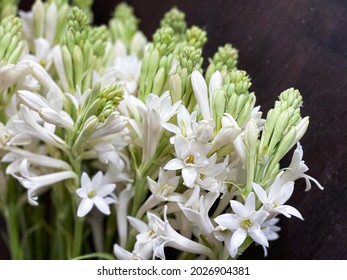 Bunch of Tuberose and Buds isolated closeup  on dark background

