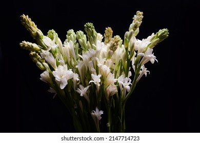 Bunch of tuberose flowers and buds against black background , 

