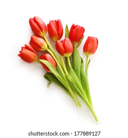 Bunch Of Tulips Isolated On White Background