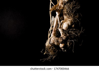 Bunch of white garlic hanging photographed with black background - Powered by Shutterstock