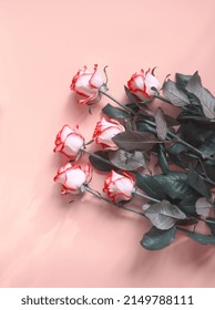 Bunch of white rose flowers with pink vibrant petals on soft pink background. Layout of white pink flower. Valentines day or 8 march romantic card, copy space. Pink aesthetic. Roses flat lay, vertical - Shutterstock ID 2149788111