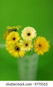 A Bunch Of Yellow Gerbera Daises With Special Focus On A Green Background