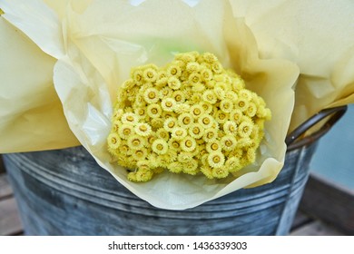 Bunch Of Yellow Helichrysum Flowers Wrapped In Craft Paper In Metal Bucket. 