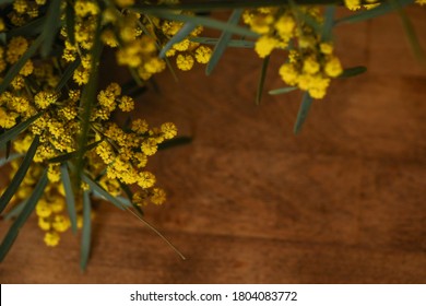 Bunch Of Yellow Wattle Blossom On Wooden Table With Copy Space