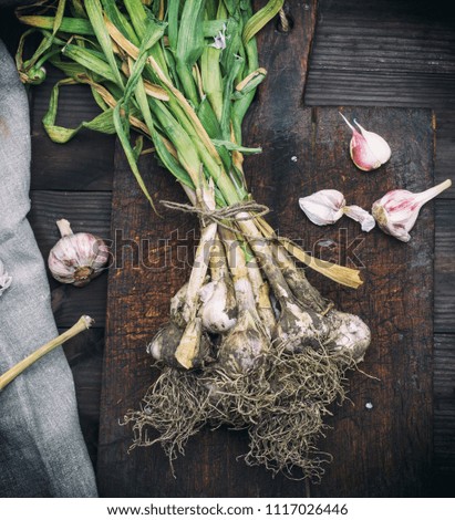 Similar – Image, Stock Photo bunch of fresh young garlic