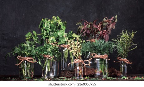 Bunches of assorted edible fresh herbs in jars on the kitchen table. Healthy organic food concept.