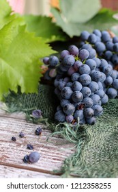 bunches of blue grapes, leaves and vine - Shutterstock ID 1212358255