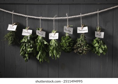 Bunches of different aromatic herbs and notes with names hanging on rope near grey wooden wall