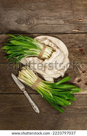 Bunches of a fresh harvest of spring ramson or wild leek. Fragrant spicy leaves on vintage wooden table background, hard light, dark shadow, top view