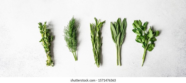 Bunches of fresh raw herbs - rosemary, thyme, dill, parsley and sage on a textured background. Top view. Copy space
