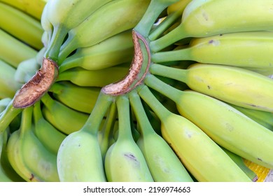 Bunches Of Green Banana Displayed In Outdoor Market Stall. Brazil