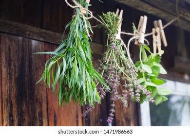 Bunches of herbs hang and dry 