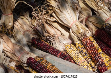 351 Native Americans Planting Crops Images, Stock Photos & Vectors ...