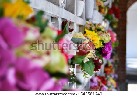 Bunches of plastic flowers in front of the small graves of loved ones