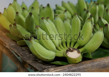 Bunches of raw bananas that villagers arrange to sell at the community market. Soft and selective focus.                          