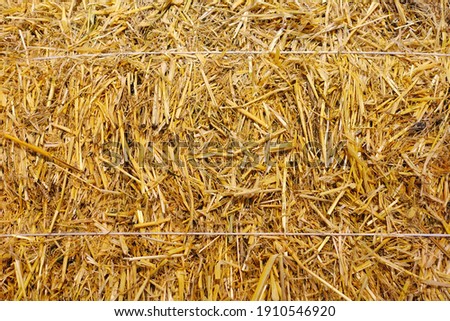 Bundle of dried yellow hay