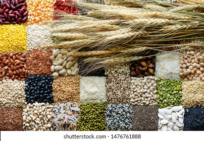 A bundle of dry wheat put on colorful background of high quality organic natural cereal or grain food ingredient,for healthy food raw material or agricultural product concept - Shutterstock ID 1476761888
