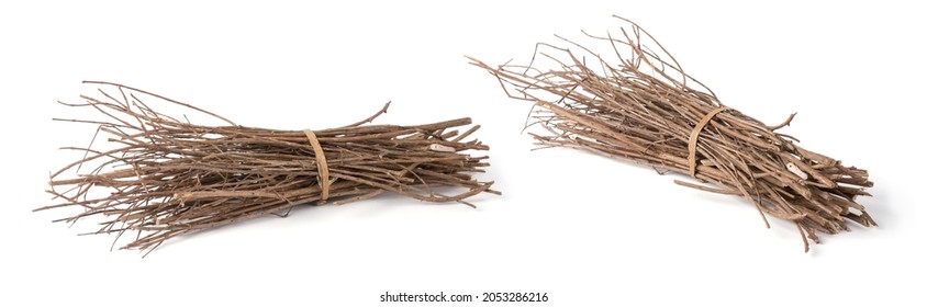 bundle of firewood, pieces of collected small dry tree branches or twigs, isolated in white background, different angle view