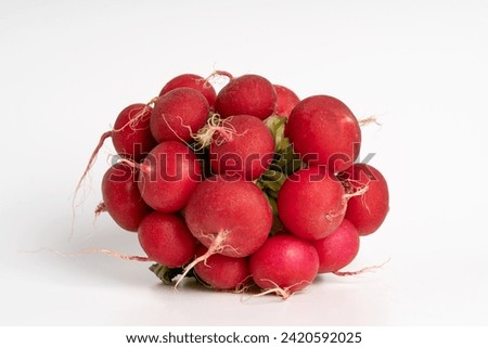 A bundle of fresh radish on a white background. Vegetarian and diet concept.