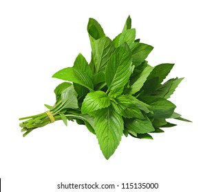 Bundle Of Fresh Spear Mint Isolated On White