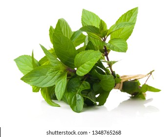 Bundle Of Fresh Spear Mint Isolated On White - Bilder 