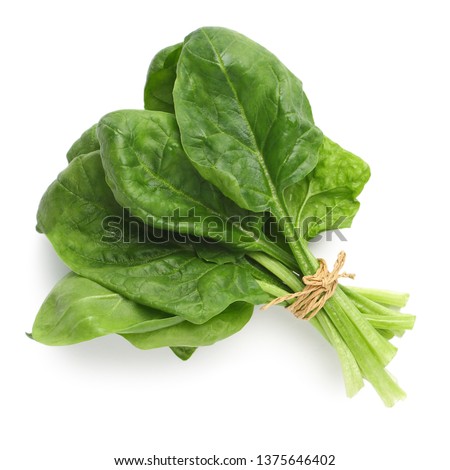Bundle of fresh spinach isolated on white, top view