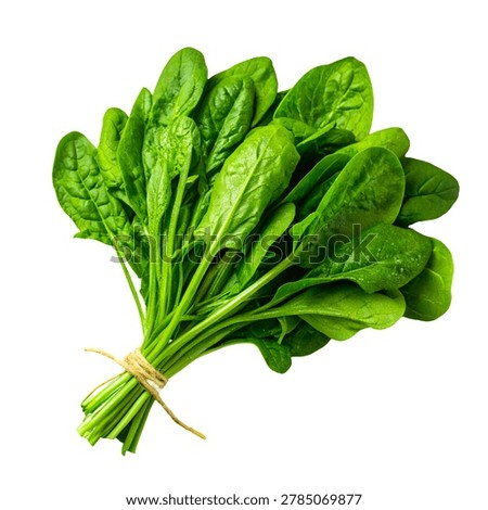 Bundle of fresh spinach isolated on white, top view