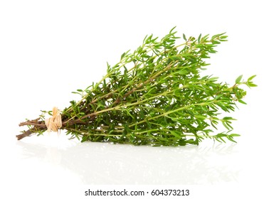 Bundle Of  Fresh Thyme On A White Background