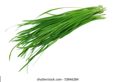 18,976 Chinese chives Images, Stock Photos & Vectors | Shutterstock