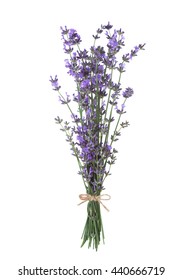 Bundle Of Lavender Isolated On White Background.