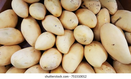 A bundle of nice and fresh yellow mango