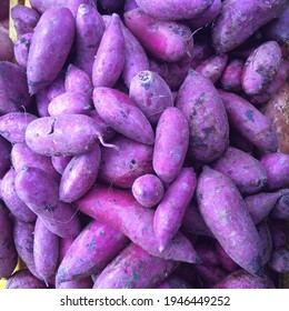 A bundle of nutritious vibrant purple yam or ube which is commonly found in Southeast Asia such as Malaysia or the Philippines