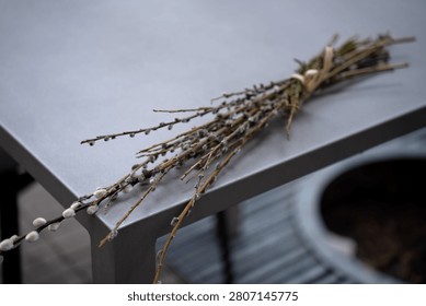 bundle of pussy-willow branches with soft gray catkins tied with twine resting on the edge of a matte gray metal table, minimalist still-life with shallow depth-of-field and muted tones, leadingline