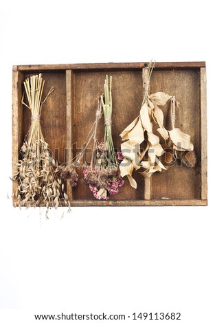 Similar – Image, Stock Photo Bunch of garlic with kitchenware on wooden background