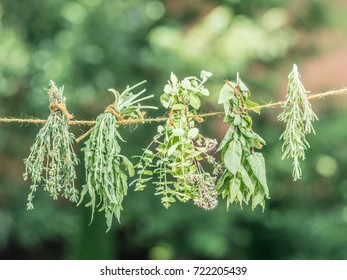 Bundles Of Flavoured Herbs Drying On The Open Air. Nature Background.