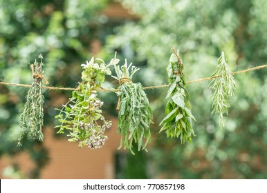 Bundles Of Flavoured Herbs Drying On The Open Air. Nature Background.